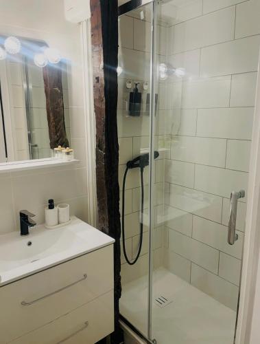 a bathroom with a shower and a sink at Grace Even's Loft - Charme Médiéval & Confort Moderne - Wi-Fi Fibre, Netflix & Cuisine Équipée - Séjour Idéal en Duo ou Solo in Donnemarie-en-Montois