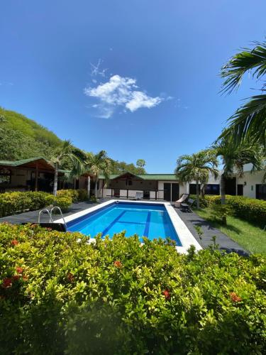 a swimming pool in a yard with palm trees at La Masia Hostal in Taganga