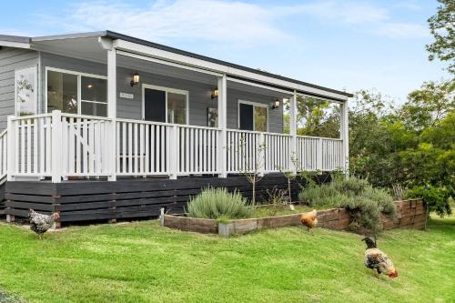 a house with chickens walking in front of it at Kyogle Farmstay - Charming Country Cottage in Homeleigh