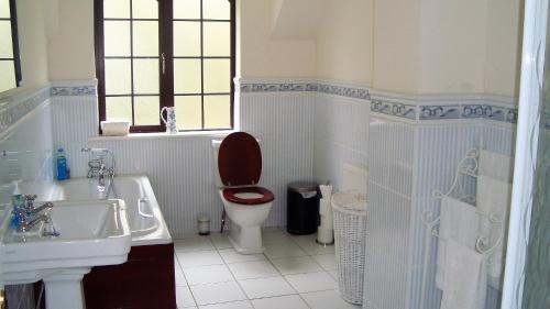 a bathroom with a toilet and a sink at Lough Rynn Self Catering in Mohill