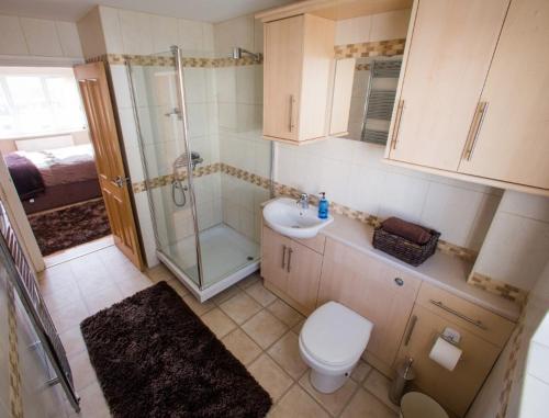 a bathroom with a shower and a toilet and a sink at Brecon Beacons Welsh Countryside Retreat in Merthyr Tydfil