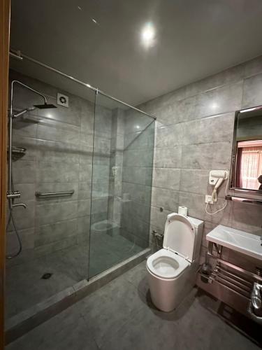 a bathroom with a shower and a toilet and a sink at Amber Boutique Hotel in Tbilisi City