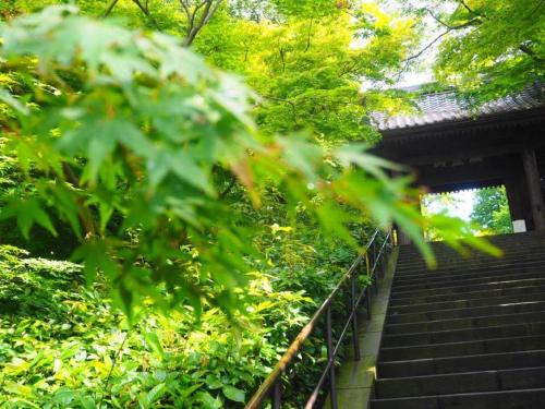 a set of stairs leading up to a building at Guest room Kamakura Nagomi -Hydrangea- in Kamakura