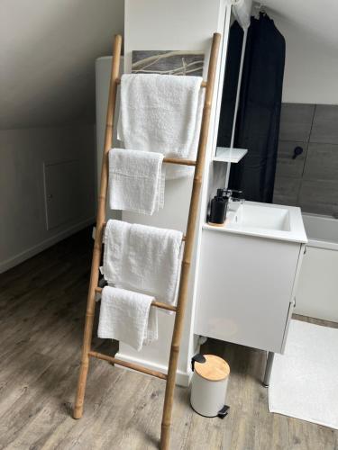 een handdoekrek met handdoeken erop naast een wastafel bij Duplex 