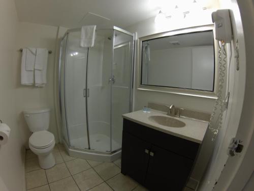 a bathroom with a shower and a sink and a toilet at Value Lodge Motel in Nanaimo