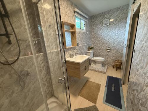 a bathroom with a shower and a sink and a toilet at Saku Boutique Homestay in Saraphi