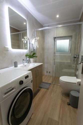 a bathroom with a washing machine and a toilet at Akrolithia Guest House in Valanidorachi