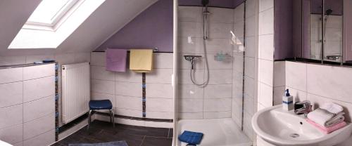 a bathroom with a shower and a sink at Gästehaus AM HERMANN in Hörstel
