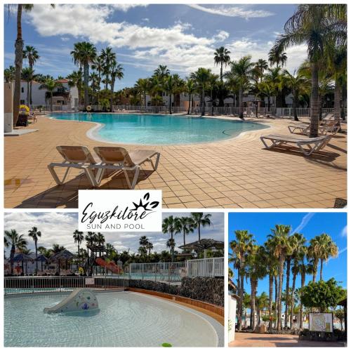 OASIS DUNAS Eguzkilore Sun & Pool by B-Rent