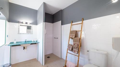 a bathroom with a sink and a toilet at La Ferme des Grisettes in Montesquiou