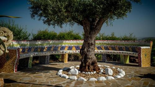 Κήπος έξω από το Finca Sonrisa