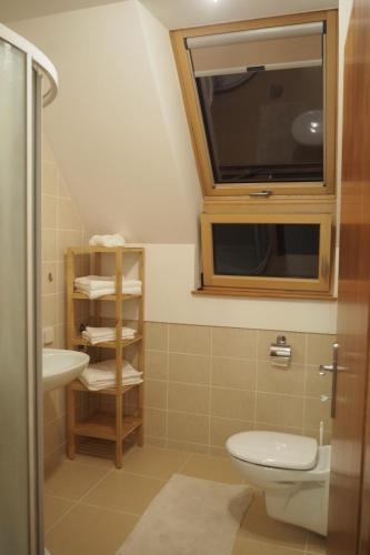 a bathroom with a toilet and a tv on the wall at Apartment Ajda in Bovec