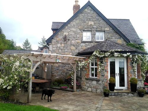 a stone house with a dog standing in front of it at Drumhierney Lodge in Leitrim