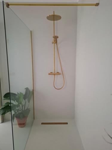 a white door with a brass shower head at Casa Maria in Żabbar