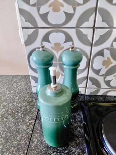 two green vases sitting on top of a counter at The Botanic Venus in Paarl