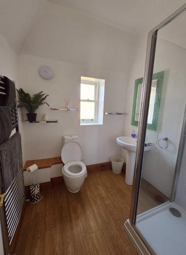 a bathroom with a toilet and a sink at Stunning 1 bedroom self contained apartment in Kent