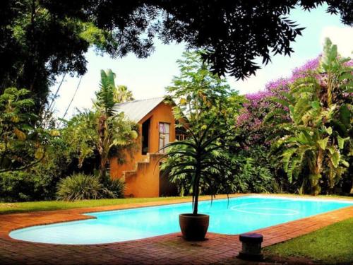 a small tree in a pot next to a swimming pool at Malandela's Guest House in Malkerns