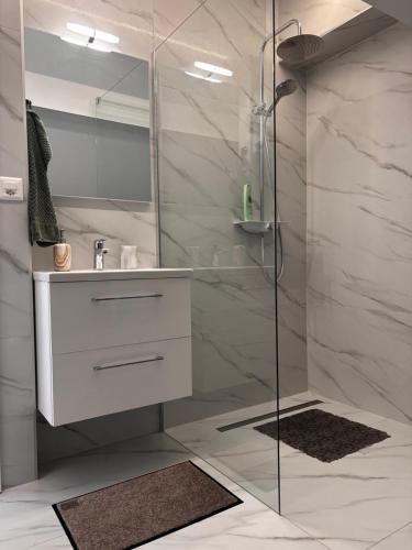 a bathroom with a shower with a sink and a mirror at Studio Alma in Bôle