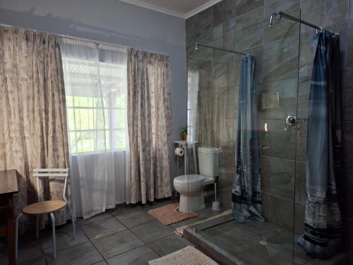 a bathroom with a toilet and a glass shower at Altenburgh Accommodation - Apartments in Somerset East