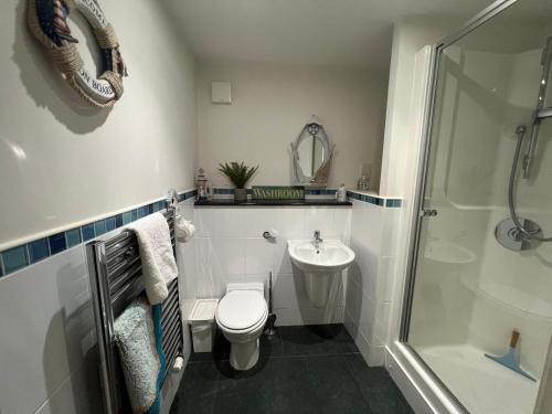 a bathroom with a toilet and a sink and a shower at Riverview Colchester in Colchester