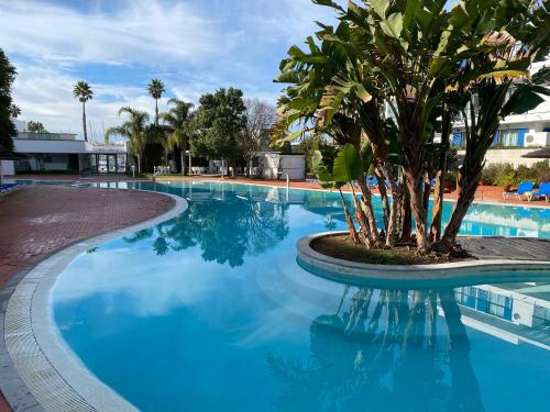 a swimming pool with a palm tree in the middle at 57 Bee OLD TOWN Lagos - Character House near Beach & Marina in Lagos