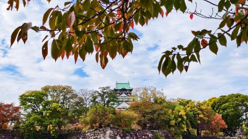 AYA Residence大阪城公園 Osaka Castle JR Morinomiya 徒歩5min