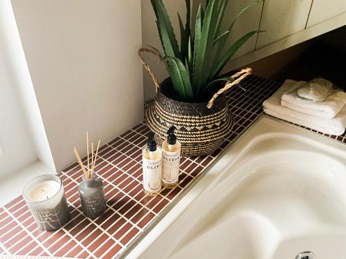 a bathroom sink with a potted plant next to it at Gold Sun Villas in Nafplio