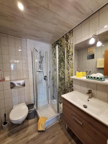 a bathroom with a shower and a toilet and a sink at Gästehaus Annabell in Nesselwang