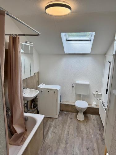 ein Badezimmer mit Toilette, Waschbecken und Dachfenster in der Unterkunft Apartment Oberdeck für 4 Personen, Wifi, Parkplätze uvm in Brokstedt