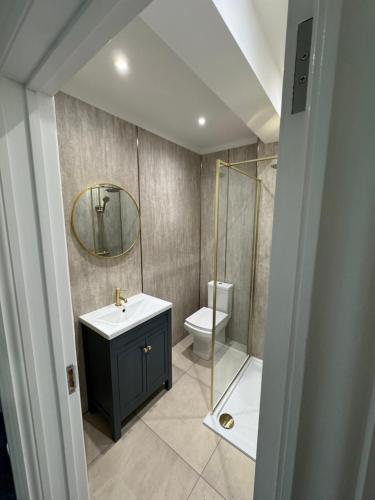a bathroom with a sink and a toilet and a mirror at 18 Morawel in Burry Port