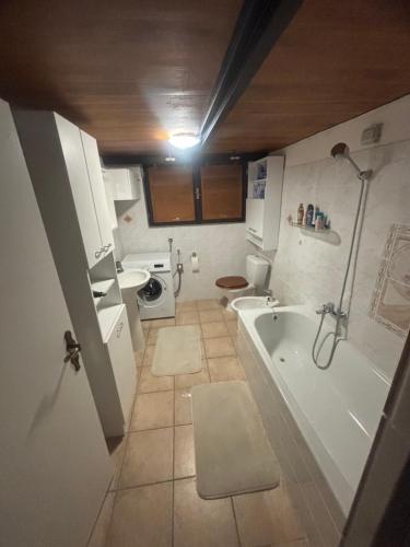 a bathroom with a tub and a toilet and a sink at Holiday loft U Kotynku in Veselí nad Lužnicí