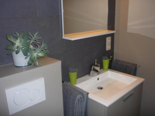 a bathroom with a sink and a potted plant at B&B Wiezebed in Wieze