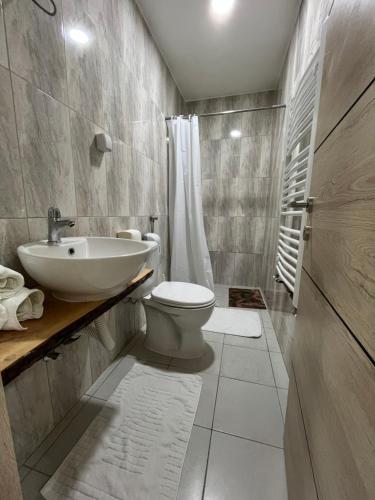a bathroom with a sink and a toilet at Etno kuca Brzece in Brzeće