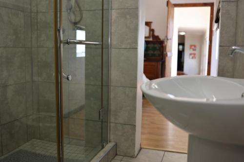 a bathroom with a shower and a toilet and a sink at Die Nagmaalhuisie in Montagu