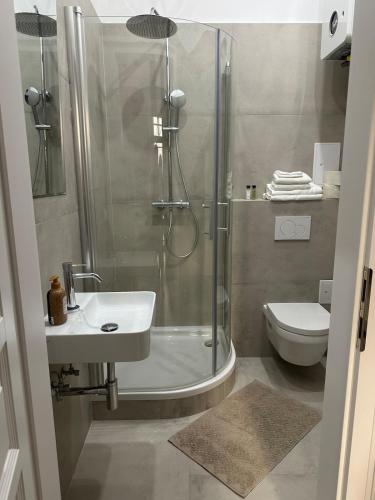 a bathroom with a shower and a sink and a toilet at Toplage beim Rathaus Grace Royal Designsuite in Vienna