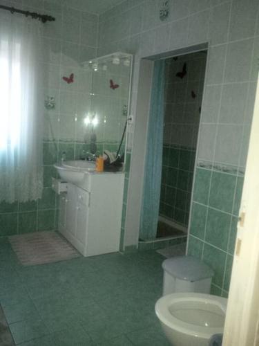 a bathroom with a shower and a sink and a toilet at chambre en colocation in Bust