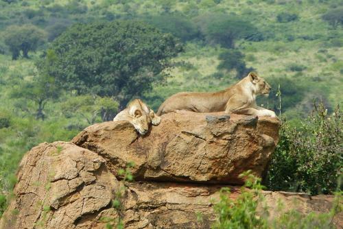 Tausa Tsavo Eco Lodge