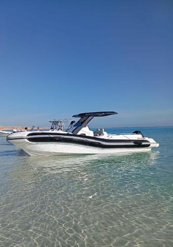 Speed Boat Tour Hurghada 4 Hours