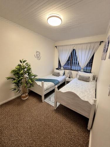 two beds in a room with a potted plant at The Oyster Cove in Brenton-on-Sea