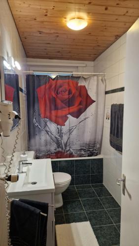 a bathroom with a toilet and a red rose shower curtain at Apartment Ferreira in Iseltwald