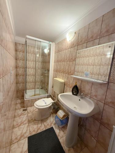a bathroom with a sink and a toilet at Casa Obstei Caciulata in Caciulata