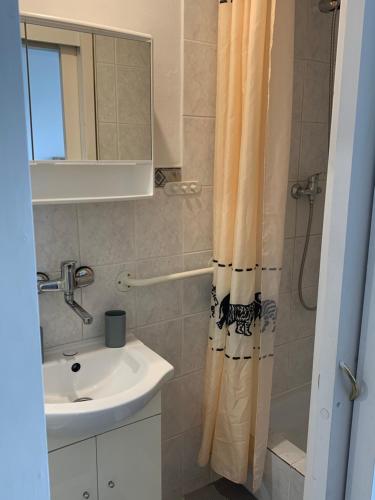 a bathroom with a shower curtain and a sink at Privat Alfa in Hrabušice