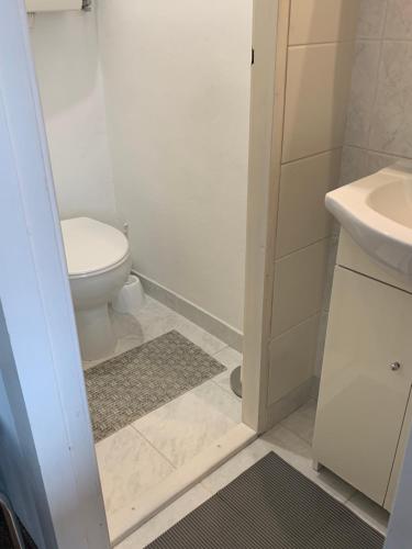 un bagno con WC e lavandino di Privat Alfa a Hrabušice