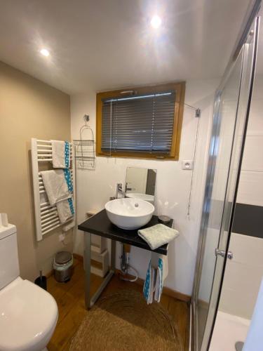 a bathroom with a sink and a toilet at La villa dans les pins in Quend