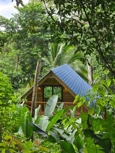 O grădină în afara The Pause Ecocabins