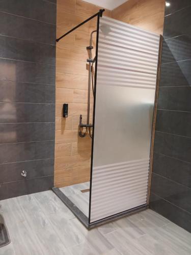 a shower with a glass door in a bathroom at El Mandara Residence Inn in Alexandria