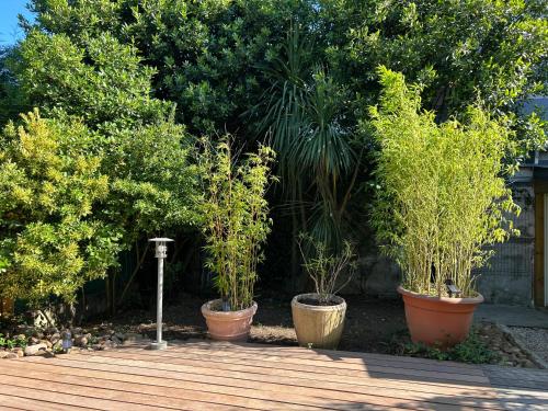 Maison et jardin tesisinin dışında bir bahçe