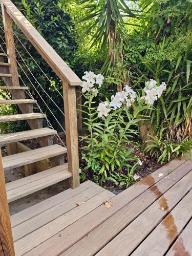 Maison et jardin tesisinin dışında bir bahçe