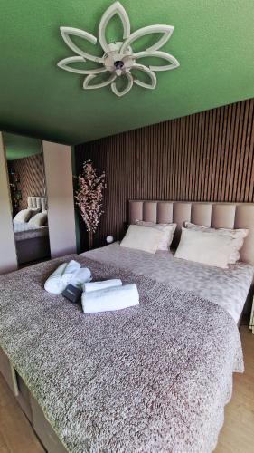a bedroom with a large bed with a green ceiling at The Boutique Suite - Schaanwald in Schaanwald