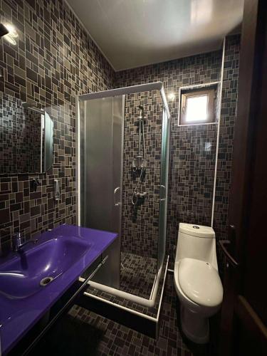 a bathroom with a purple sink and a toilet at Elite House in Bakuriani